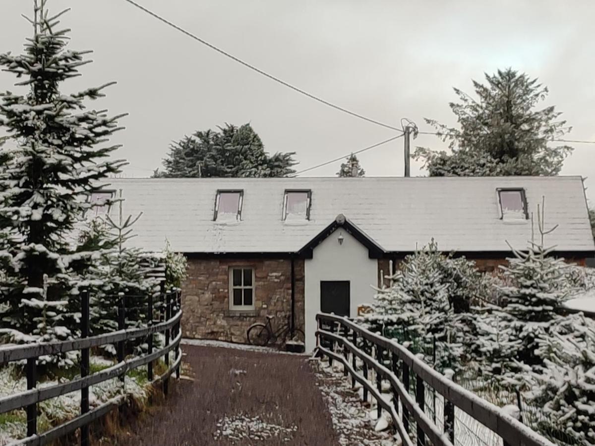 Vila The Old House At Belfield Tralee Exteriér fotografie